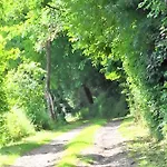 La Chapelle Du Chateau Lagarrigue * Strenquels