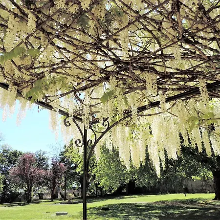 La Chapelle Du Chateau Lagarrigue Tatil Evi *