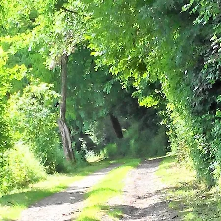 La Chapelle Du Chateau Lagarrigue * Strenquels