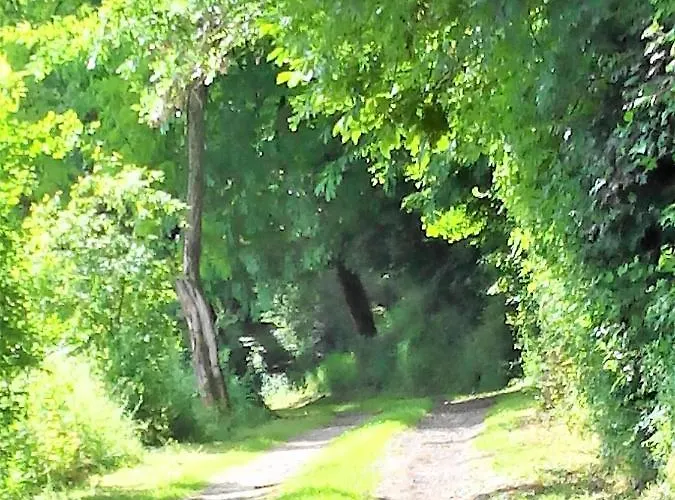 La Chapelle Du Chateau Lagarrigue * Strenquels